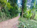 Land For Sale Sirimalwaththa