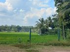 Land For Sale Sold By PRIME LANDS - Paddy Field View Athurugiriya