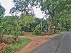 Land for Sale – Sooriyawewa, Hambantota