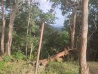Land for Sale Ella
