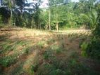 Land For Sale Sulthanagoda - Matara