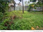 land for sale Talahena road malaba