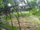 Land for Sale Talawathugoda