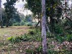Land for Sale - Tangalla
