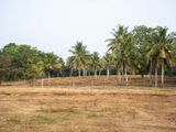 Land for Sale Tangalle