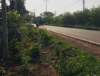 Land for Sale Tellipalai