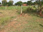 Land for Sale தெல்லிப்பளை