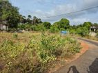 Land for Sale தெள்ளிப்பளையில்