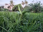 Land for Sale - Temples Road