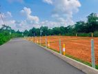 Land for Sale Tengalle