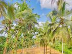 Land for Sale Thalagala