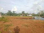 Land for Sale Thalagala