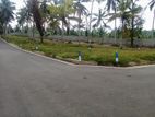 Land for Sale Thalagala