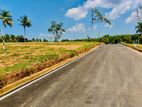 Land For Sale Thalagala