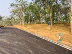 Land for Sale Thalagala