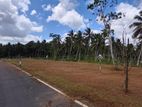 land for sale thalagala
