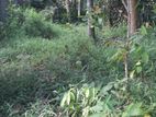 Land for Sale Thalahena