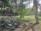 Land for Sale Thalahena