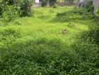 Land for Sale Thalahena