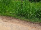 Land for Sale Thalahena