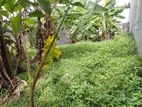 Land for Sale Thalapathpitiya