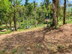 land for sale thalathuoya