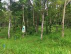 Land for Sale Thalathuoya