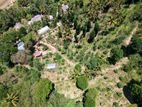 Land for Sale – Thalathuoya, Kandy
