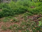 Land for Sale Thalawathugoda