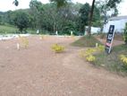 Land for Sale Thalawathugoda