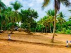 Land for Sale Thalawathugoda