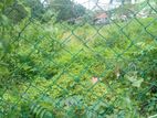 Land For Sale Thalawathugoda