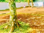 Land for Sale Thalawathugoda