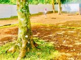 Land for Sale Thalawathugoda