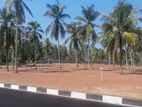 Land for sale Thalawathugoda (hokandara )