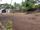 Land for Sale Thalawatugoda