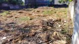Land for Sale – Thalawatugoda