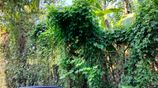 Land for Sale – Thalawatugoda