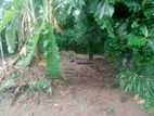 Land for Sale Thalawatugoda