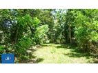 Land For Sale Thalwathagoda Hokandara (Dsp 706 )