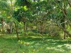 Land For Sale Thangalla