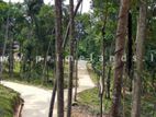 Land for Sale Thannekumbura