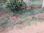 Land for Sale Thellipalai