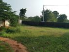 Land for Sale Thirunelvely