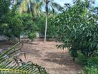 Land for Sale Tissamaharama