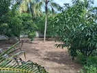 Land for Sale Tissamaharama