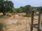 Land for Sale – Tissamaharama (Near Sithulpawwa / Yala Road)