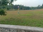 Land for Sale තලගල,ගොනපොල