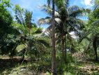 Land For Sale තලකිරියාගම ,දඹුල්ල