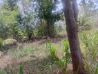 Land for Sale Tourist Attraction area, Udawalawa. (ID:UDWL001)